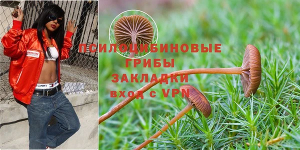 спайс Верхний Тагил