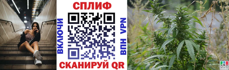 что такое наркотик  Славгород  Марихуана план 